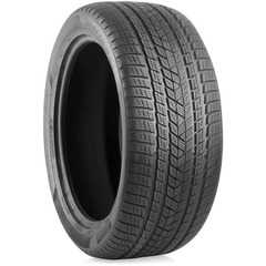 Купити Зимова шина PIRELLI Scorpion Winter 255/45R20 105V