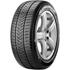 Купить Зимняя шина PIRELLI Scorpion Winter 255/50R19 107V