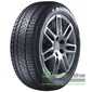 Купити Зимова шина SUNNY NW211 Winter-maX A1 225/50R17 98V