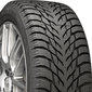 Зимняя шина Nokian Tyres Hakkapeliitta R3 - Интернет-магазин шин и дисков с доставкой по Украине GreenShina.com.ua