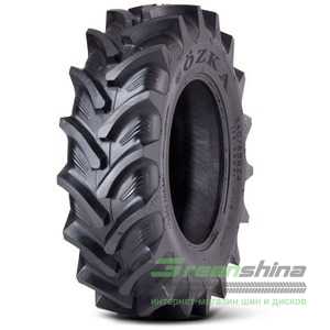 Купити Cільгосп шина OZKA AGRO 10 (ведуча) 360/70R20 129 A8