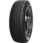 Купити Зимова шина DOUBLESTAR DW02 205/55R16 91T