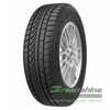 Купити Зимова шина PETLAS SnowMaster W651 205/45R17 88H