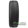 Купити Зимова шина PETLAS SnowMaster W651 205/45R17 88H
