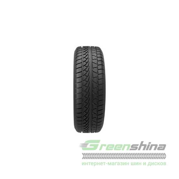 Купити Зимова шина PETLAS SnowMaster W651 205/45R17 88H