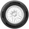 Купити Зимова шина PETLAS SnowMaster W651 205/45R17 88H