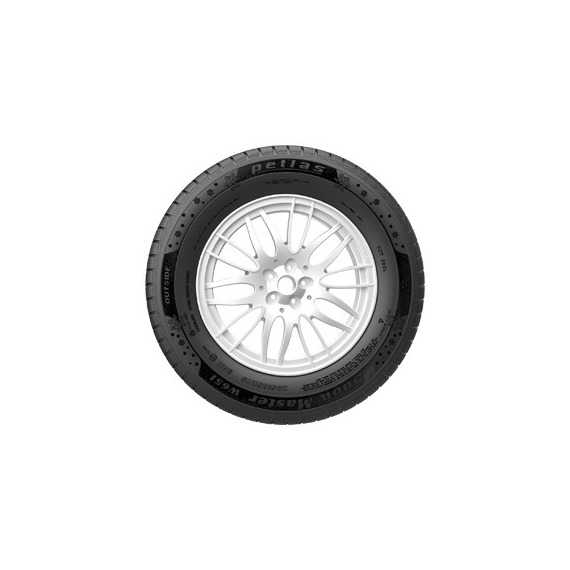 Купити Зимова шина PETLAS SnowMaster W651 205/45R17 88H
