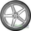 Купить Зимняя шина Nokian Tyres WR Snowproof P 225/45R17 91H Run Flat