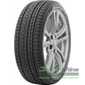 Купити Зимова шина TRIANGLE PL02 255/65R17 114H