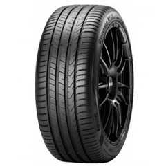 Купити Лiтня шина PIRELLI Cinturato P7 P7C2 225/55R17 97W