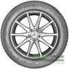 Купить Зимняя шина DUNLOP Winter Sport 5 SUV 245/50R19 105V XL