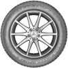 Купить Зимняя шина DUNLOP Winter Sport 5 SUV 225/55R19 99V