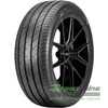 Купити Літня шина ARROYO Grand Sport 2 205/65R16 95H