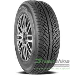 Купити Зимова шина COOPER Discoverer Winter 205/55R17 95V XL