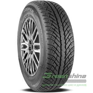 Купити Зимова шина COOPER Discoverer Winter 205/55R17 95V XL