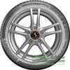 Купить Зимняя шина CONTINENTAL WinterContact TS870P 255/45R19 104V XL