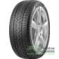 Купити Зимова шина ARIVO WINMASTER PROX ARW5 275/40R19 105V XL