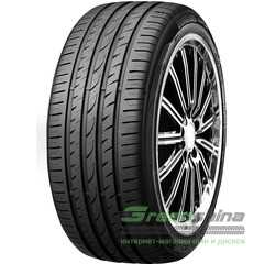 Летняя шина ROADSTONE EuroVis Sport 04 - Интернет-магазин шин и дисков с доставкой по Украине GreenShina.com.ua