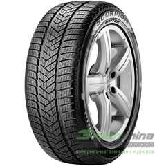 Купити Зимова шина PIRELLI Scorpion Winter 235/55R19 101T