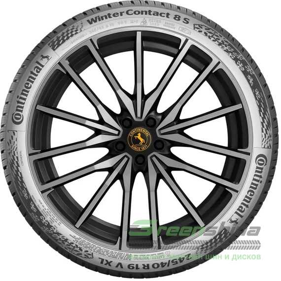 Купити Зимова шина CONTINENTAL WinterContact 8 S 255/40R21 102V XL