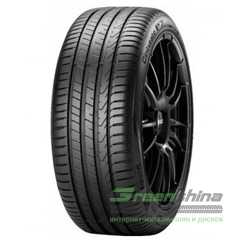 Купити Лiтня шина PIRELLI Cinturato P7 P7C2 255/45R19 100T