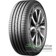 Купити Літня шина ANTARES Ingens EV 205/55R16 91V