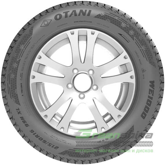 Купити Зимова шина OTANI WE1000 195/65R15 91H