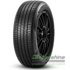 Купить Летняя шина PIRELLI Scorpion 255/50R19 107T