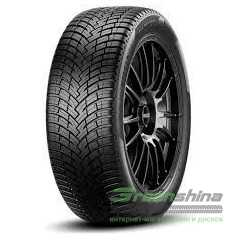 Купити Всесезонна шина PIRELLI Powergy All Season SF 205/55R17 95V