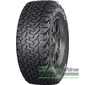 Купити Всесезонна гума RYDANZ Raptor R19 245/70R16 118/115Q